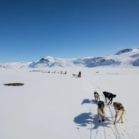 And With Terrace Beitostolen