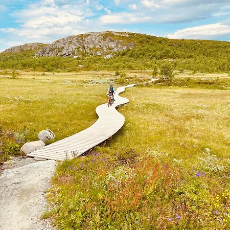 And With Terrace Beitostolen