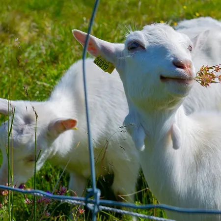 And With Terrace 아파트