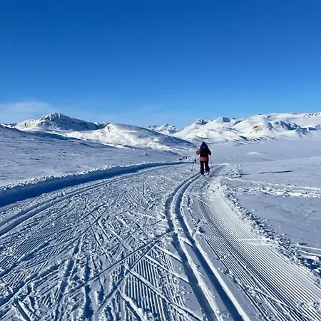 And With Terrace 아파트 Beitostolen